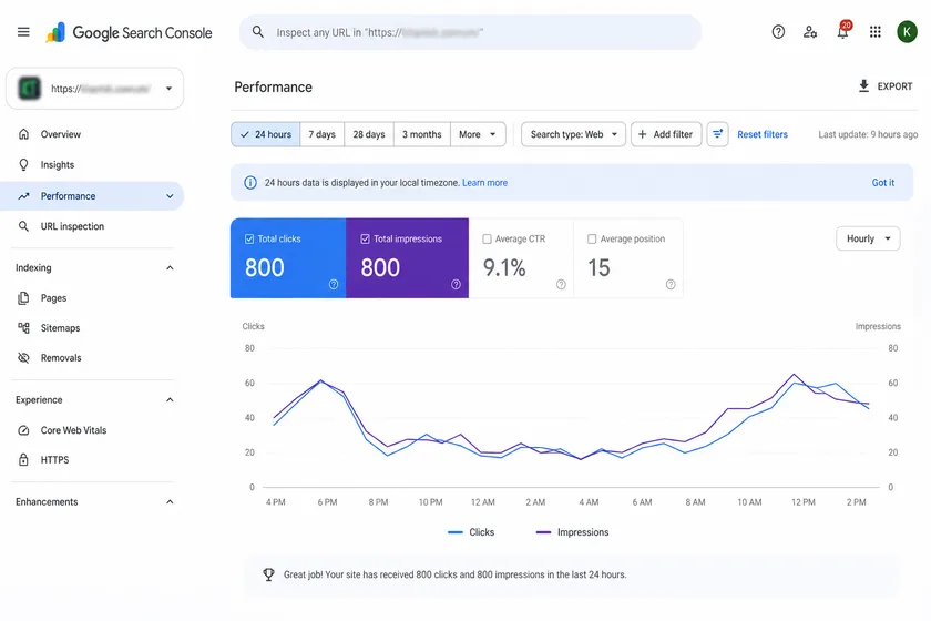 A live client property: 800 clicks and 800 impressions in 24 hours, 9.1% average CTR.